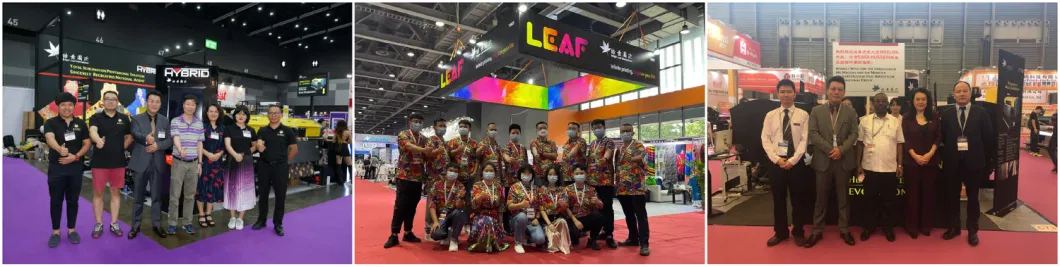 Leaf Cheap Friendly Eco Solvent Ink Sublimation UV Ink Pigment Pet Film Ink Factory Directly Supply